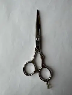 2026年最新】光 シザー E-2の人気アイテム - メルカリ