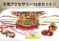 【美品】犬用アクセサリー12点セット‼️クリスマス　お正月　ハロウィン　女の子系♡