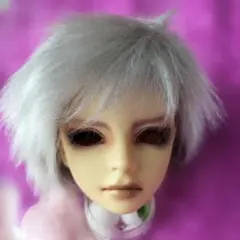 SD用　シルバーボアウイッグ