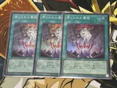 遊戯王 禁じられた聖冠 3枚セット スーパーレア 遊戯王 禁じられた聖冠 スーパーレア 3枚セット - メルカリ