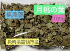 Item thumbnail for item 016b6cfd-d0da-48d8-9eed-10d24c4a4b35