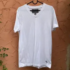 上陸前全盛期　新品　ABERCROMBIE & FITCH シンプルVネックT