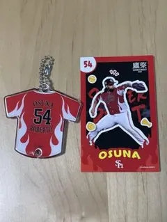 Item thumbnail for item af126590-7e07-4d06-9e09-a0f9dccc744b