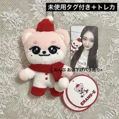 2026年最新】IVE minive イソの人気アイテム - メルカリ