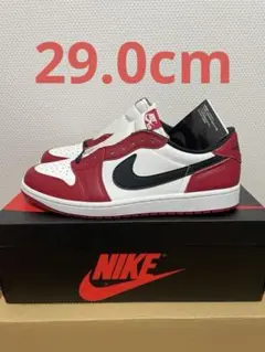 2026年最新】エアジョーダン1 シカゴの人気アイテム - メルカリ
