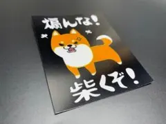 ☆NAOYA☆様 リクエスト 3点 まとめ商品