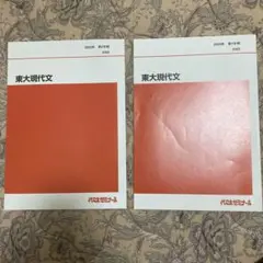 代ゼミテキスト 東大現代文 2025年 第1学期・第2学期 2冊セット