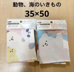 Item thumbnail for item e6ab9e83-85a7-4b03-85b3-fbbe97c686b0