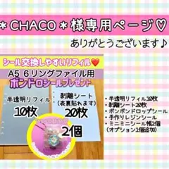 ＊CHACO＊様専用ページ♡【ありがとうございます】
