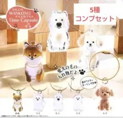WANKONO Time Capsule 5個コンプセットわんこのタイムカプセル
