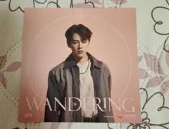 JO1 WANDERING 河野純喜 カード