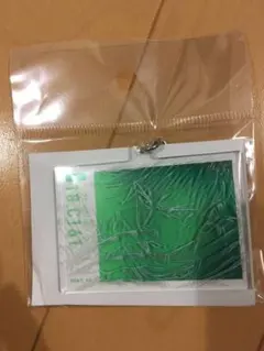 呪術廻戦　伏黒恵　アクリルキーホルダー　原画　MAPPA