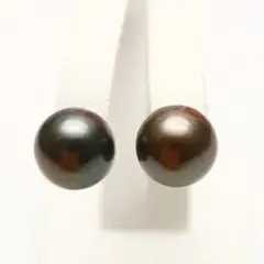 タヒチ黒蝶真珠パールピアス　10mm　マルチカラー　K14WG製