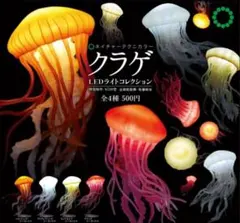 Item thumbnail for item e688fa97-9104-4425-b998-893bca42ce0e