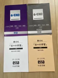 新小6「日々の学習」3月 EXE