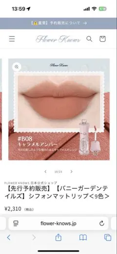 シフォンマットリップ バニーガーデン フラワーノーズ 口紅 - メルカリ