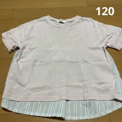 Noeil aime BeBe Tシャツ 120センチ