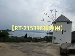 【RT-215398様専用】