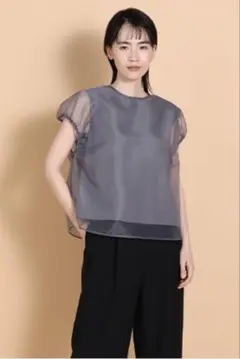 I.T.'S international　シアーレイヤードトップス　Fサイズ