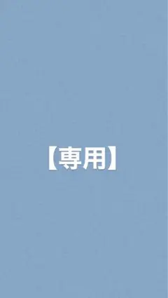 【専用】　まとめ買い大歓迎プロフをお読み下さい　様