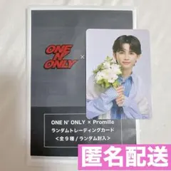 【匿名配送】プロミル ワンエン NAOYA トレカ