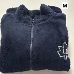 Item thumbnail for item 934fbd86-1e76-447e-95d3-f6415ca8fae0