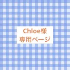 Chloe様 リクエスト 2点 まとめ商品