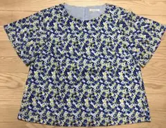 Item thumbnail for item e261e137-4ee3-40a2-9168-9c2ae96162cd