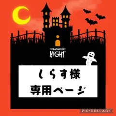 しらす様　専用ページ