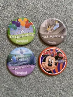 Walt Disney world フロリダディズニーワールド缶バッジ 9種類 - メルカリ