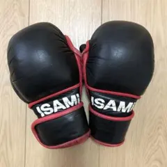 ISAMI製の黒と赤のパウンドグローブ