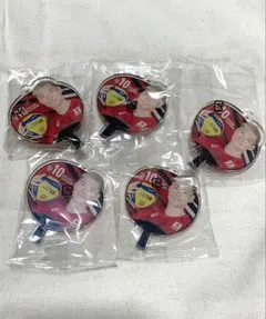 髙橋健太郎 選手 バレーボール男子日本代表うちわアクリルチャーム