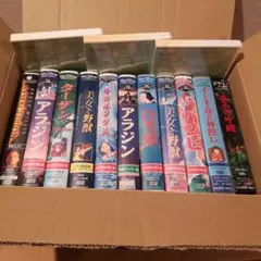 Item thumbnail for item 608746e0-38c6-4547-b31e-68f4c314f201