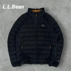 【グッドデザイン】L.L.Bean ダウンジャケット　650フィル　フリース　L
