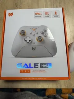 BIGBIGWON GALE HOLL ゲーミングコントローラー 1000Hz