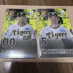 Item thumbnail for item 5d9d796d-020b-41d1-92ba-64c412271301