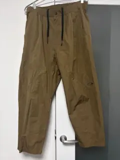 Item thumbnail for item 6e576d09-7352-45ab-b2a0-b99d13f72c1d