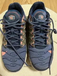 NIKE　AIR MAX PLUS エアマックスプラス　27cm