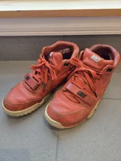 fragment design × Nike Air Trainer 1のサムネイル