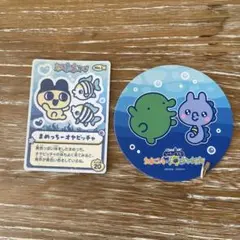 たまごっち　新江ノ島水族館　まめっち　くちぱっち　シール　コースター