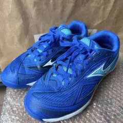 専用　MIZUNO　卓球シューズ　ウエーブメダル7　ユニセックス25オリンピック