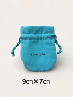 Item thumbnail for item e14a7274-d4c0-4d21-b291-f98b998070d6