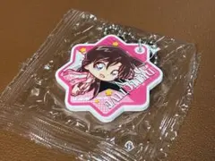 名探偵コナン　くら寿司　ラバーチャーム　マグネットシート