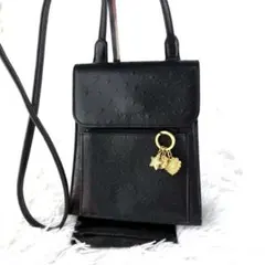 極美品✨ウンガロ ショルダーバッグ ポーチ オーストリッチ 黒のサムネイル