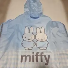 Item thumbnail for item e0d49d85-ffe5-4254-b890-d3e4eedbef3a