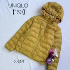 ユニクロ ダウンジャケット ナイロン　中綿 フード 黄 UNIQLO【150】