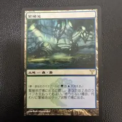 MTG ドルイドの誓い Oath of Druids エクソダス 英語版日本語版 - メルカリ