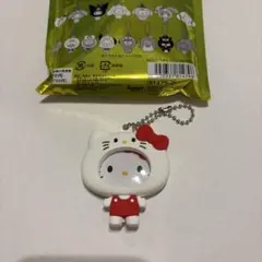 サンリオキャラクターズ　フォトバッジ付きマスコット　ハローキティ