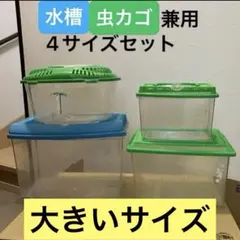2026年最新】爬虫類飼育セットの人気アイテム - メルカリ