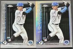 Item thumbnail for item 38d95964-f3d3-40e4-ab5f-639851604bb7